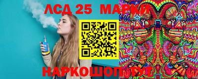 гидра Будённовск