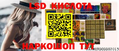 гидра Будённовск
