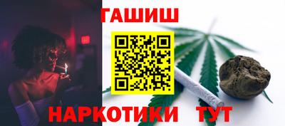 гидра Будённовск
