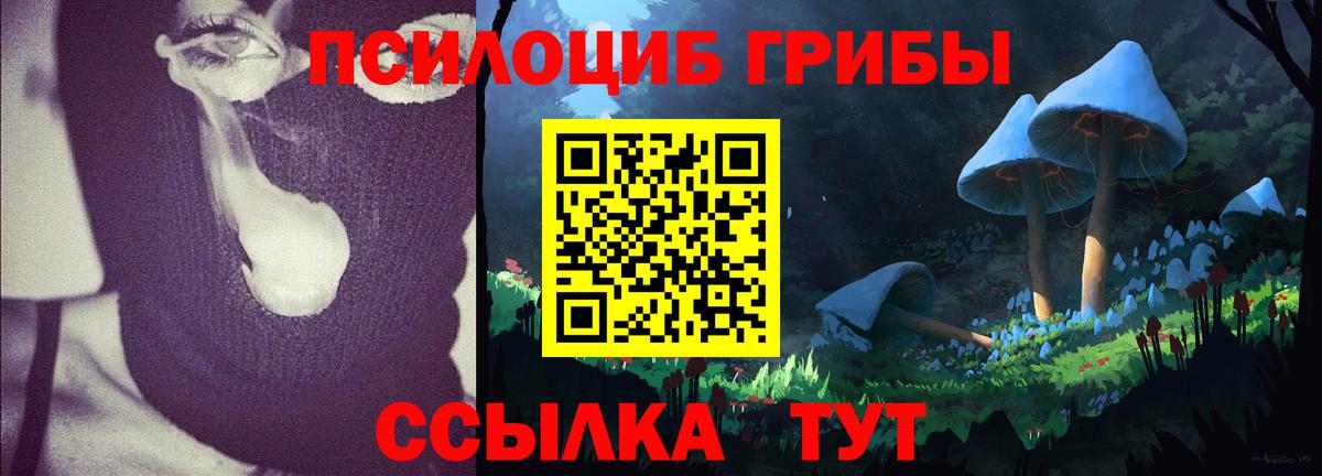 Партизанск  продажа наркотиков  Вход с VPN  Псилоцибиновые грибы Psilocybine cubensis  Галлюциногенные грибы Cubensis 